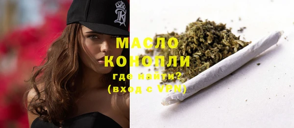 МДПВ Вяземский