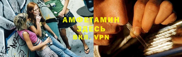 МДПВ Вяземский