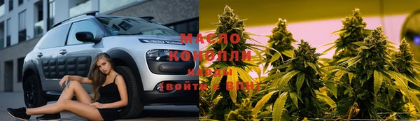 МДПВ Вяземский