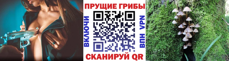 Купить где  Себеж  Псилоцибиновые грибы мухоморы 